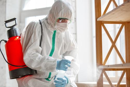  retrait amiante logements collectifs